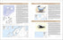 European Breeding Bird Atlas 2 - 2020 (Lynx)